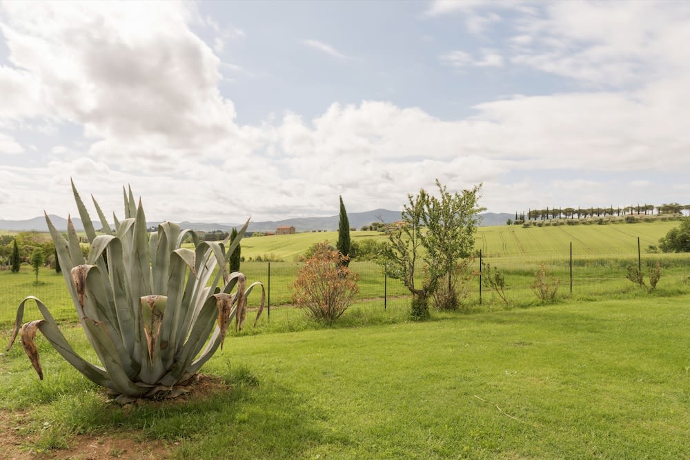 Poggio Verde photo 1