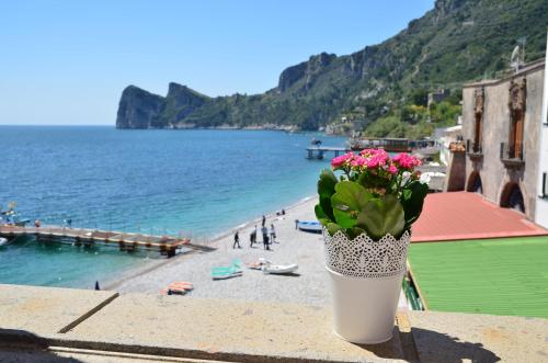 Mimì sul Mare photo 1