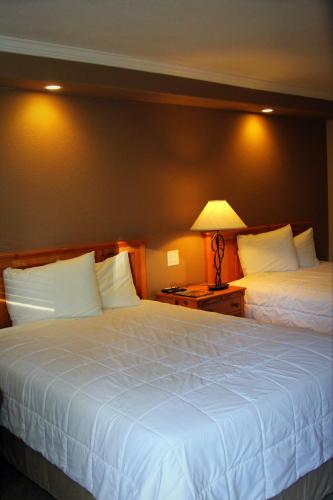 Tea Garden Lodge photo 1