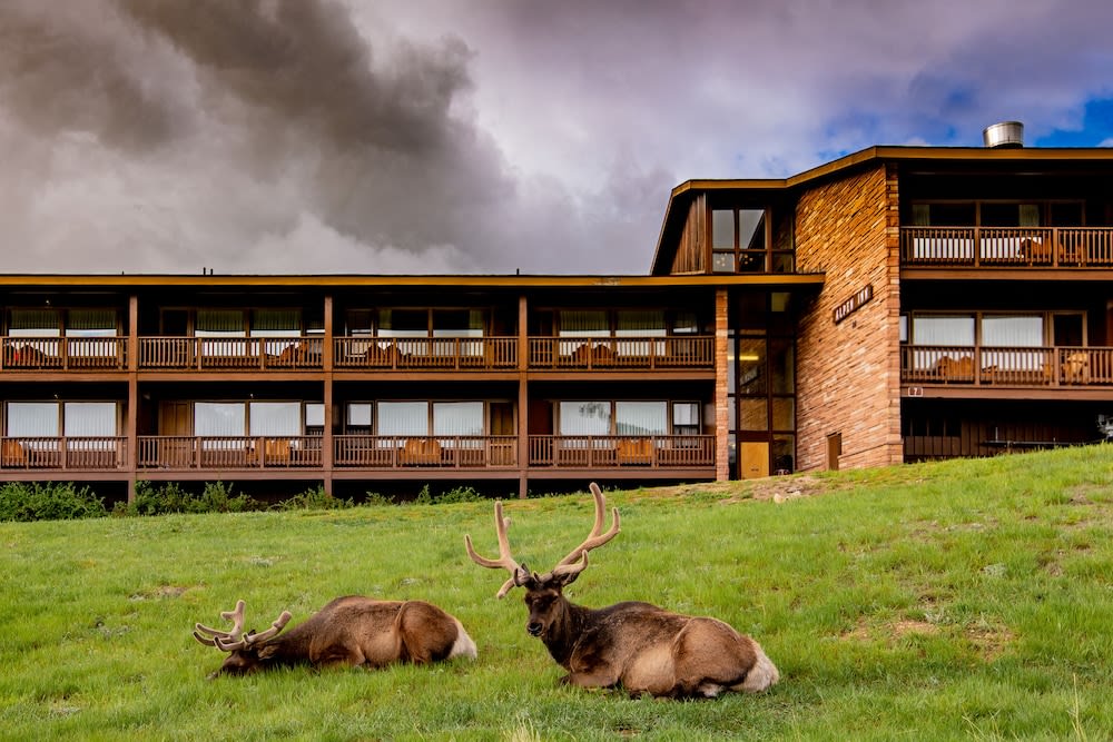YMCA of The Rockies Estes Park photo 1