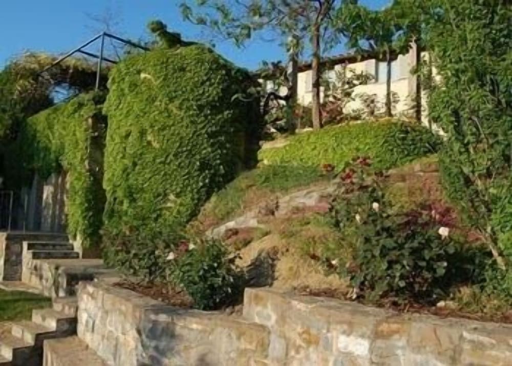 Il Pezzatino photo 1