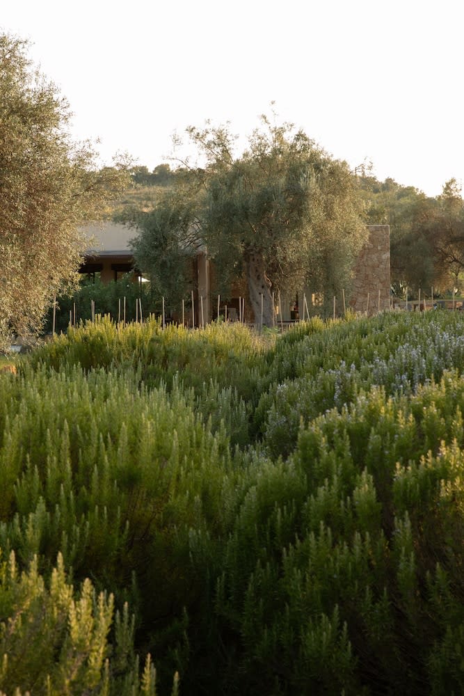 IUTA Glamping & Farm photo 1