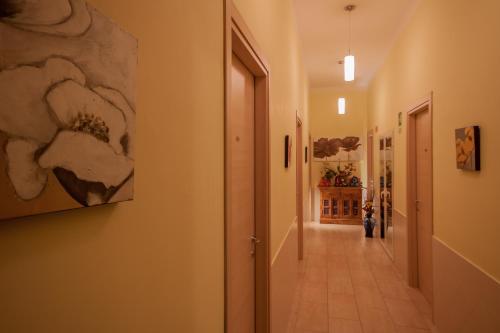 Alex Place photo 1
