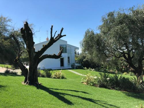 Villa Il Bacio del Sole photo 1