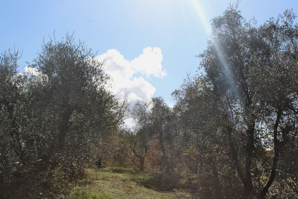 Agriturismo Due Comuni photo 1