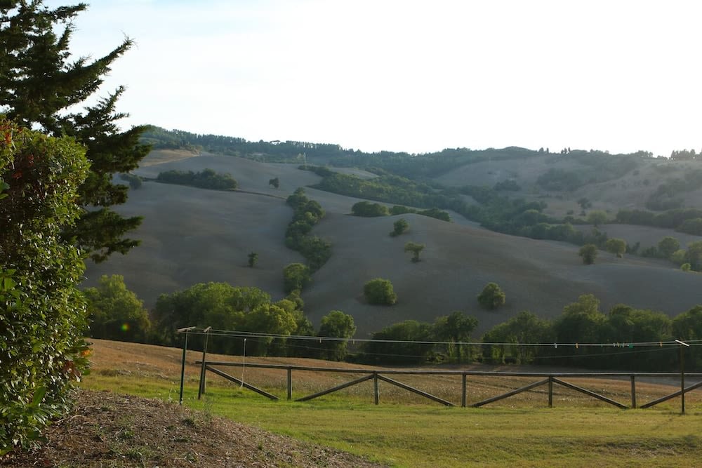 Agriturismo il Palagetto photo 1