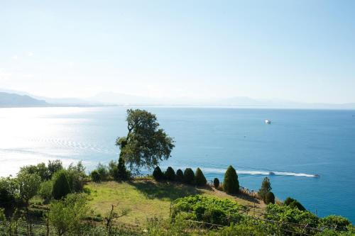 Sopra il Limoneto photo 1