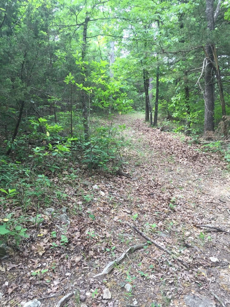 Cherokee mountain log cabin resort photo 1