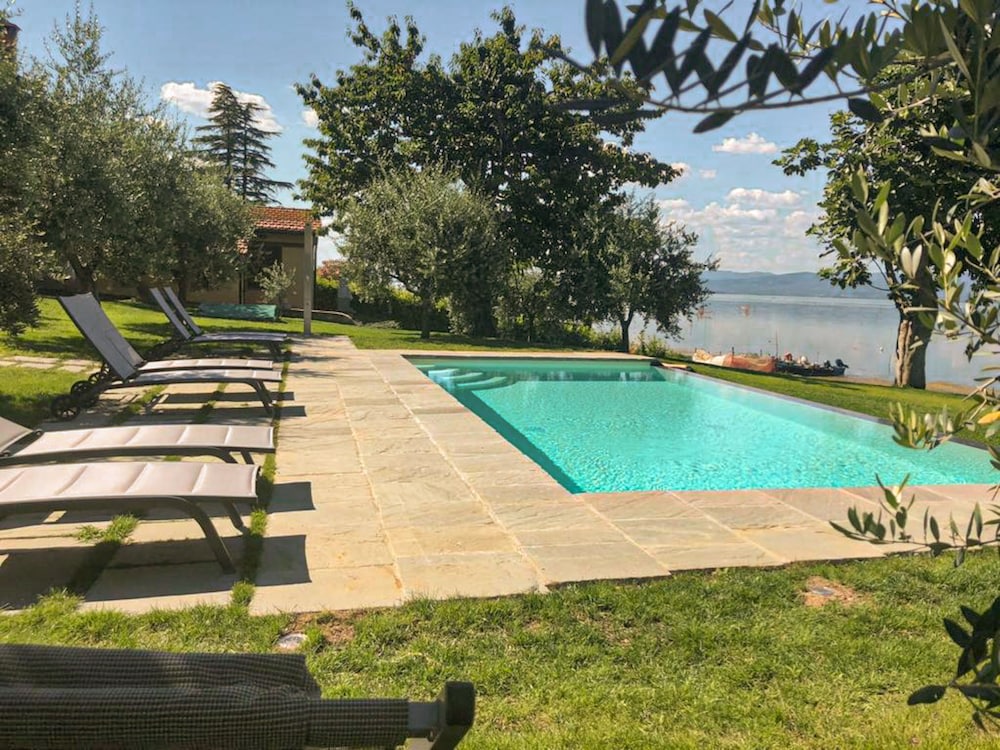 La Folaga del Trasimeno photo 1