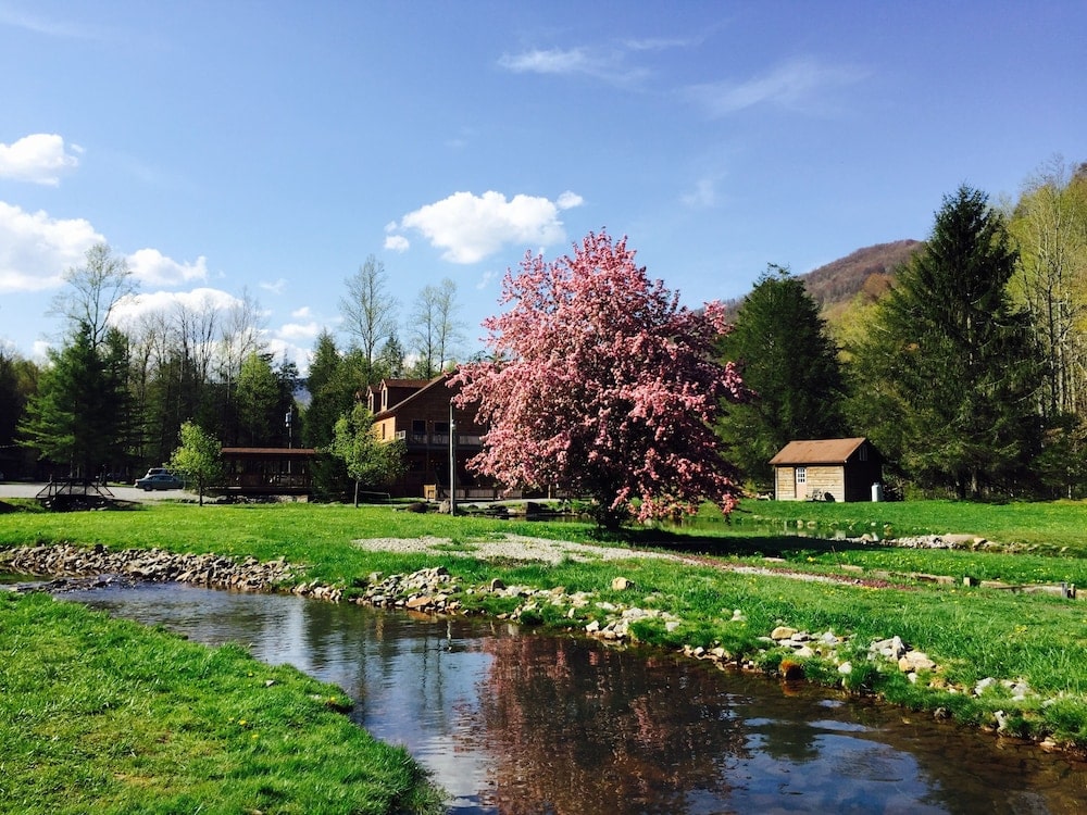 Elk Springs Resort photo 1