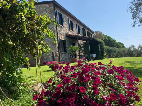 Holiday House Petrarca photo 1