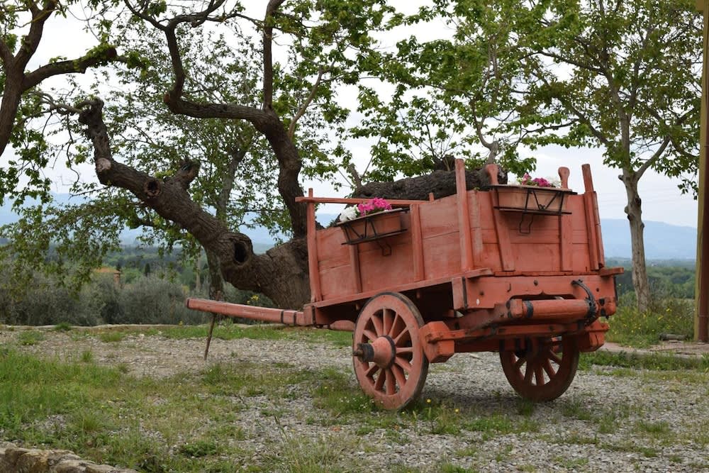 Agriturismo La Posta Reale photo 1