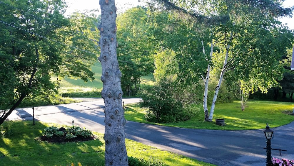 Inn at Clearwater Pond (Quechee) photo 1