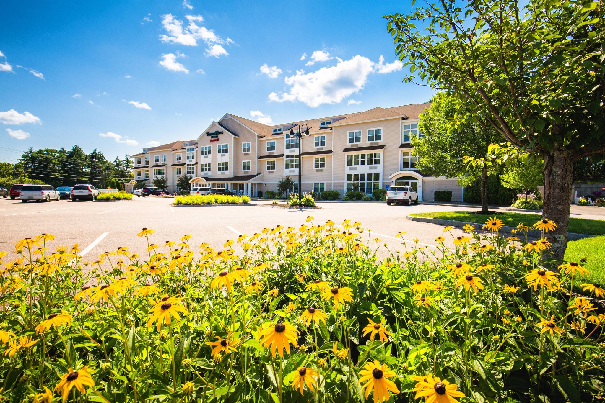 Towneplace Suites By Marriott Laconia Gilford photo 1