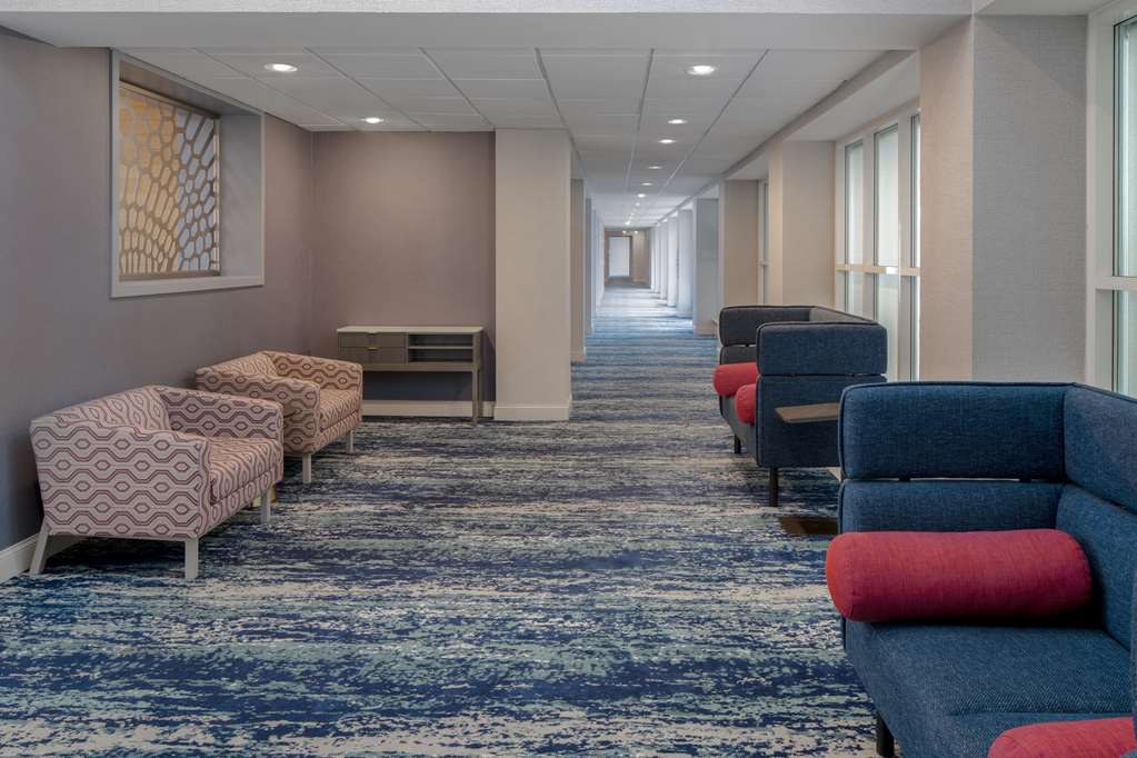 (Lobby view)