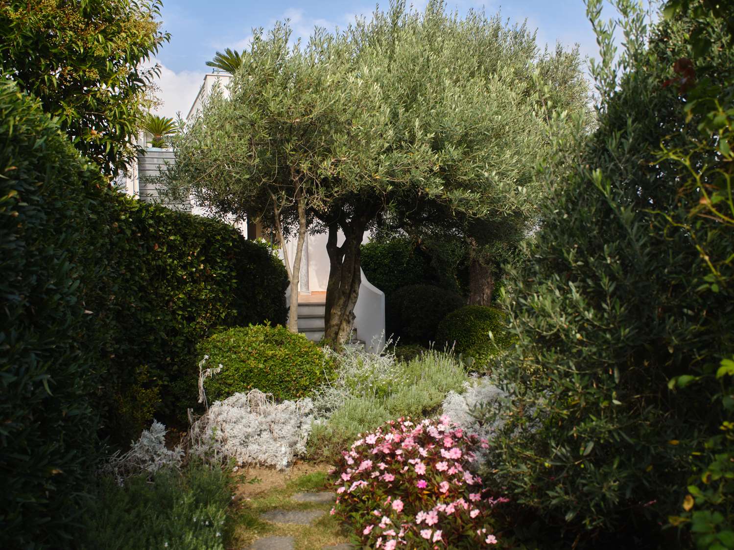 Hotel Image 11