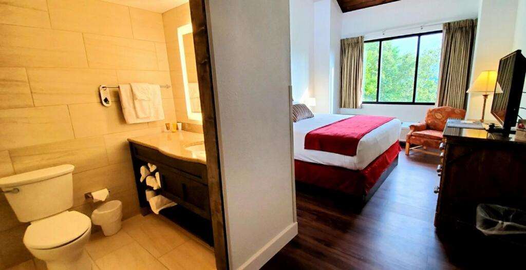 Hotel Image 7