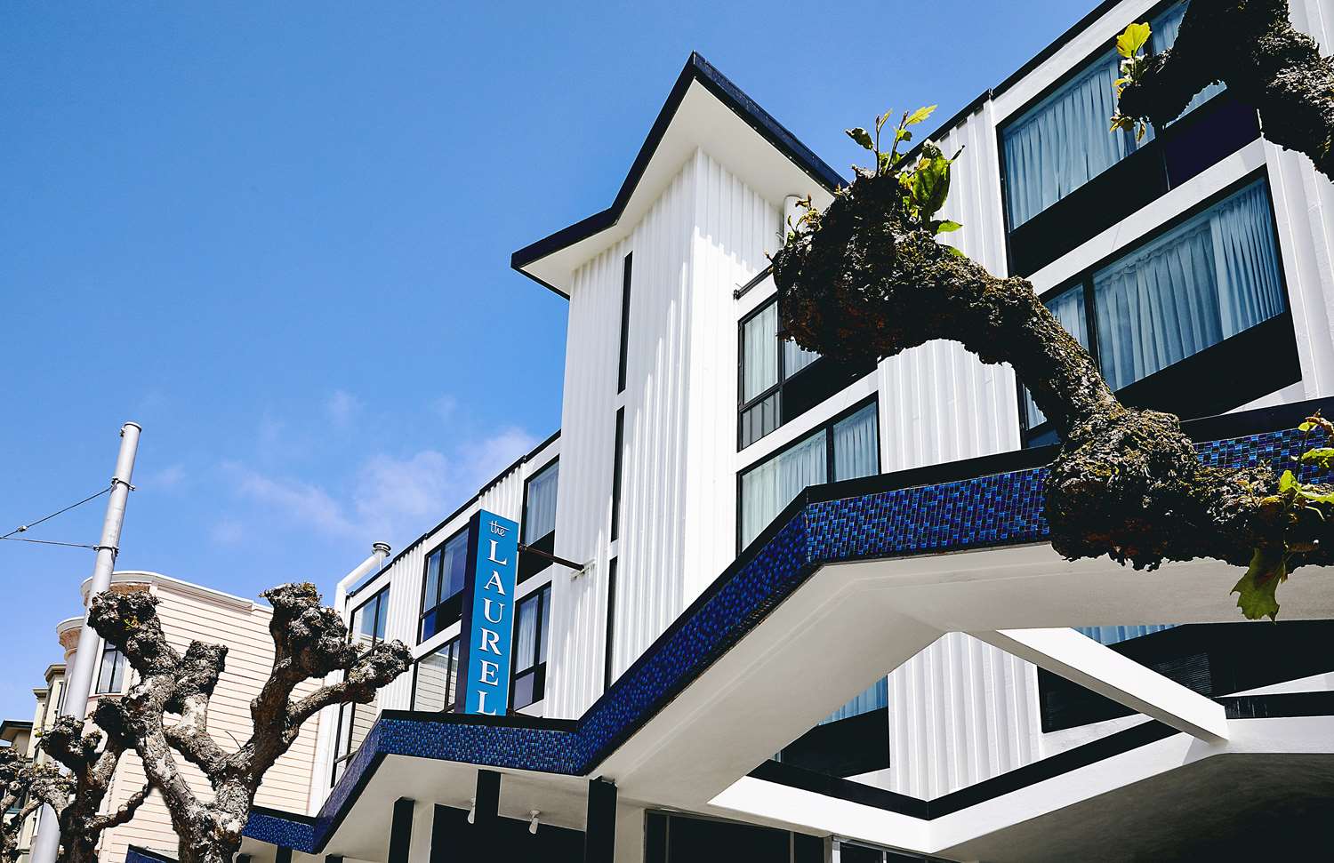 Laurel Inn photo 1