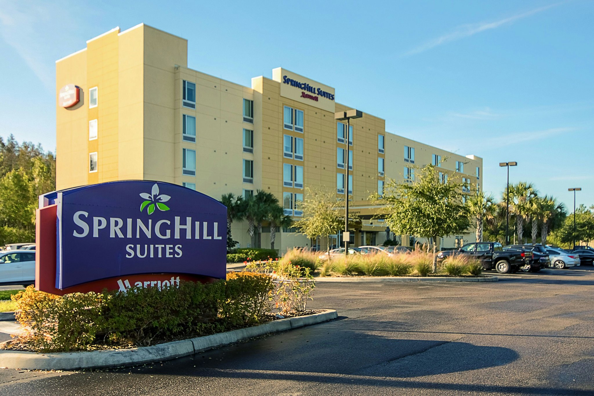Springhill Suites By Marriott Tampa North I-75 Tampa Palms photo 1