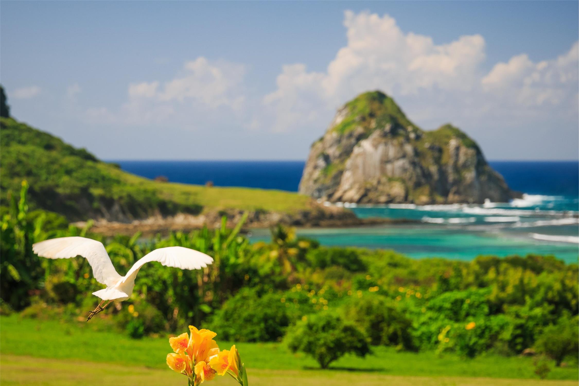 NANNAI Noronha