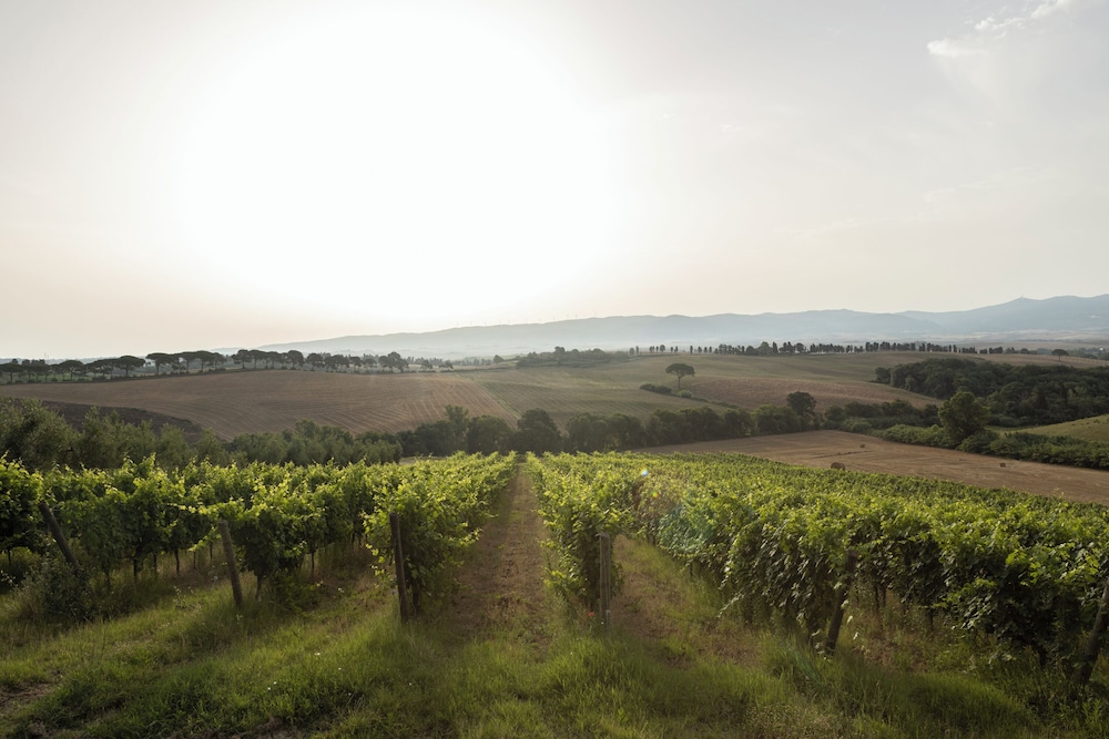 Agriturismo Cappellese