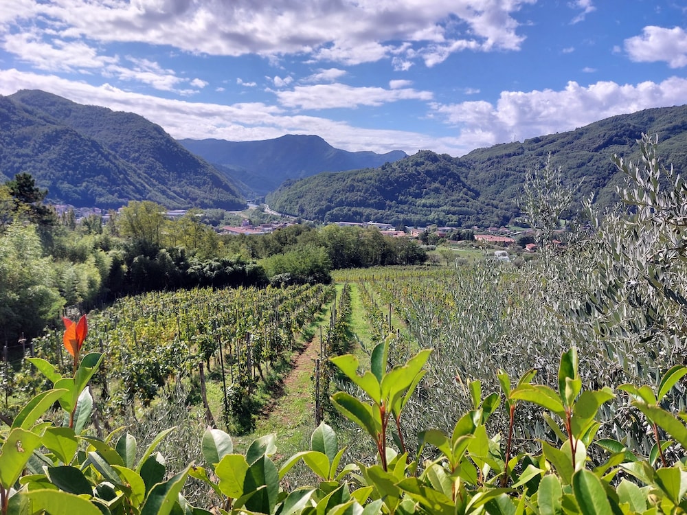 Agriturismo Tenuta La Fratta