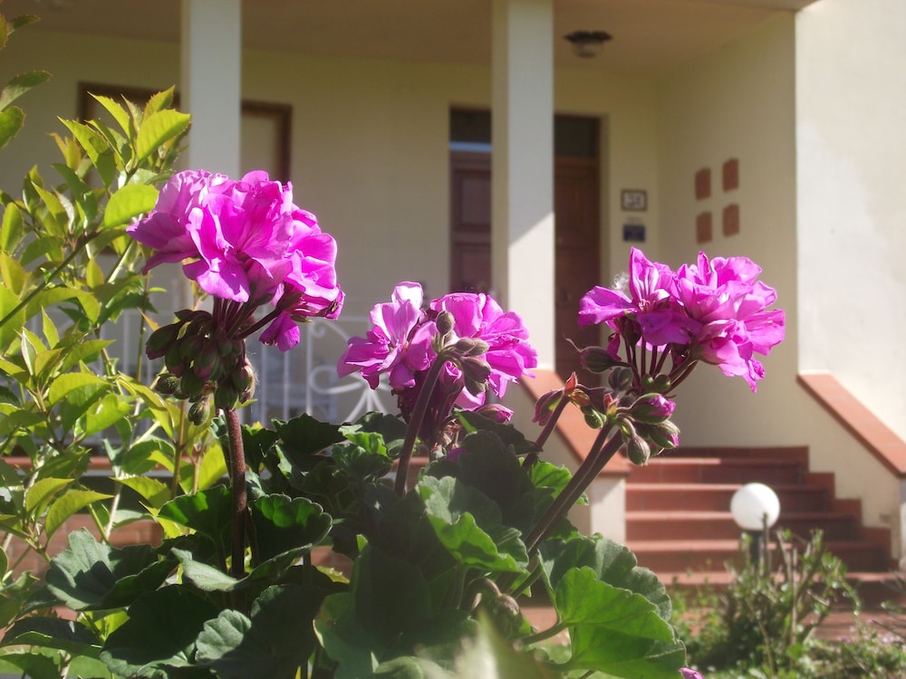 Villa Sabrina