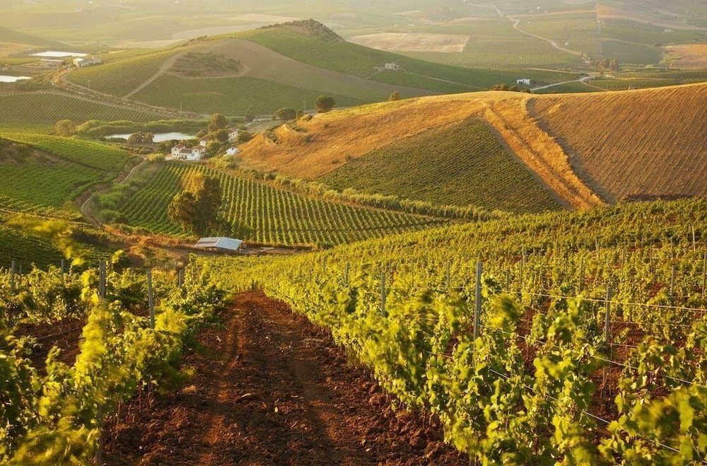 Agriturismo Tarantola