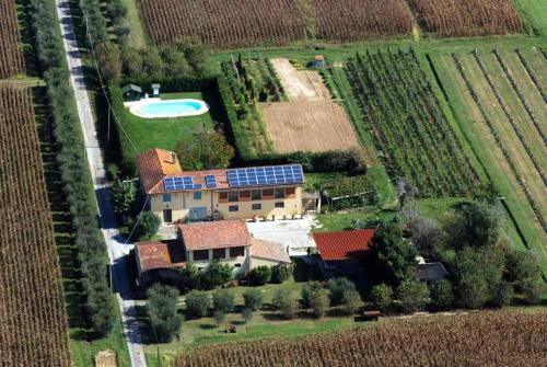 Il Chicco dOro