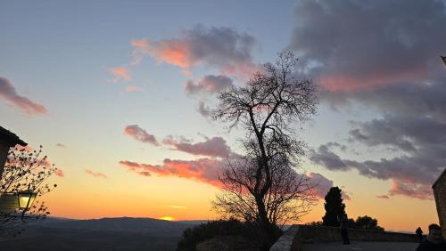 Affittacamere Dal Falco