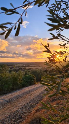 Agriturismo Le Serre