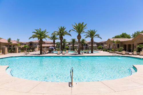 Mesa Palms Ferro