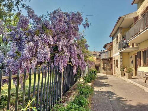 B&B TorreMatta