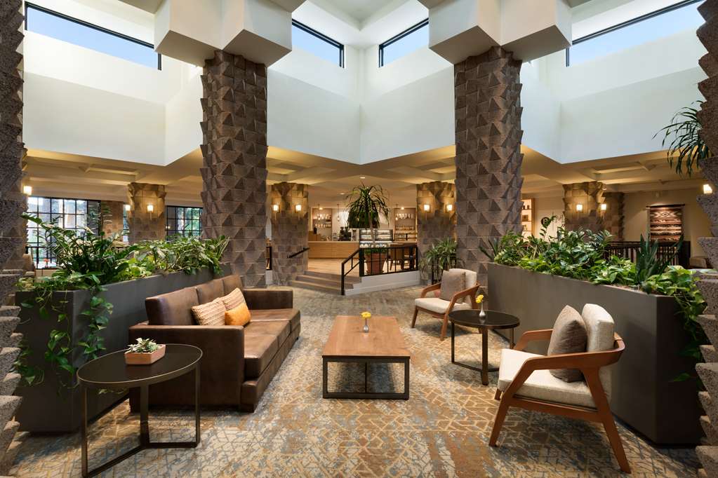 Doubletree Resort By Hilton Scottsdale