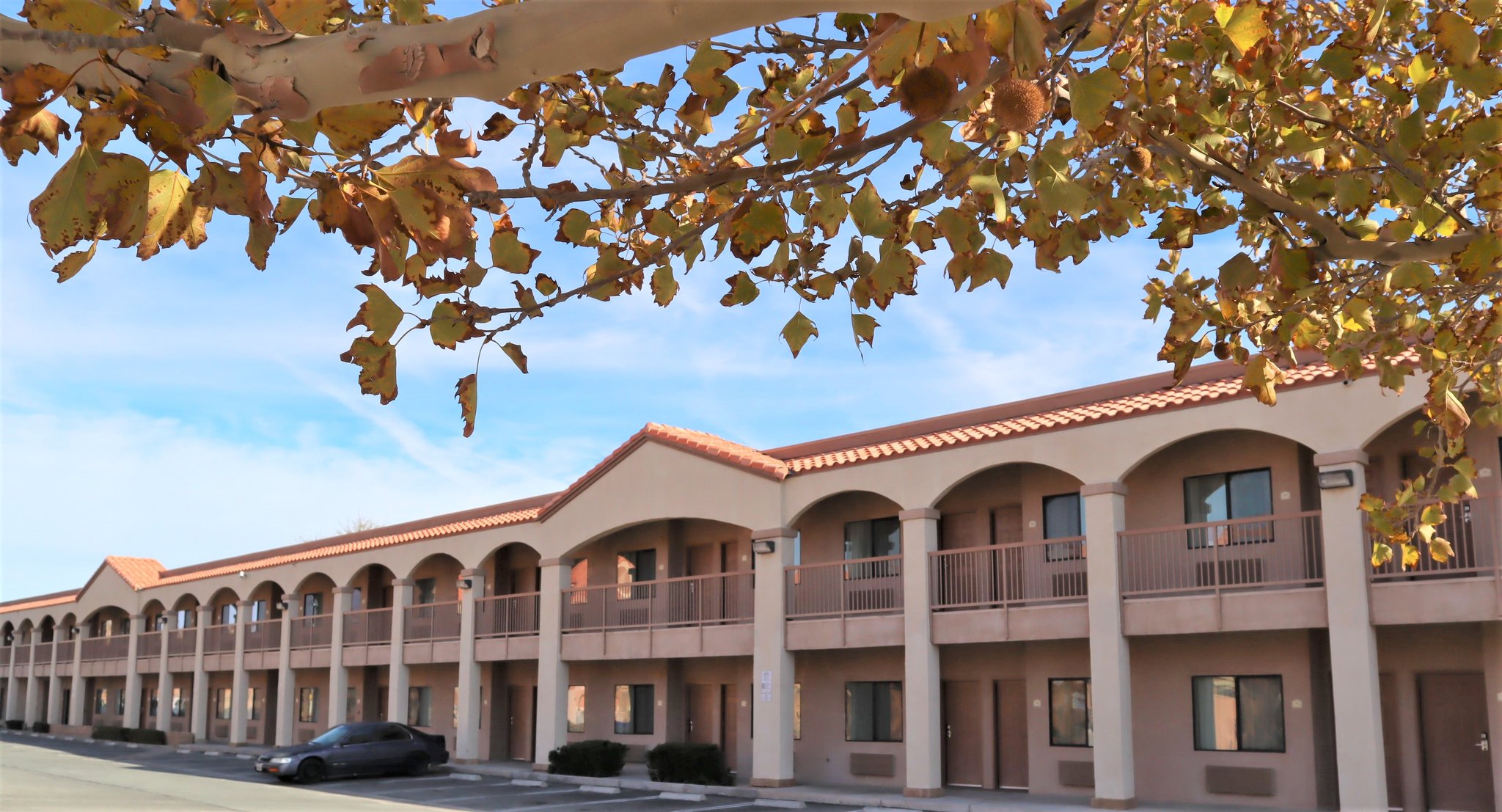 Starlight Inn And Suites